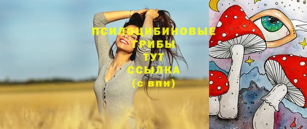 mdpv Липки