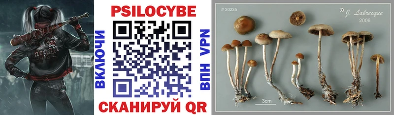 Галлюциногенные грибы GOLDEN TEACHER  Полярный 